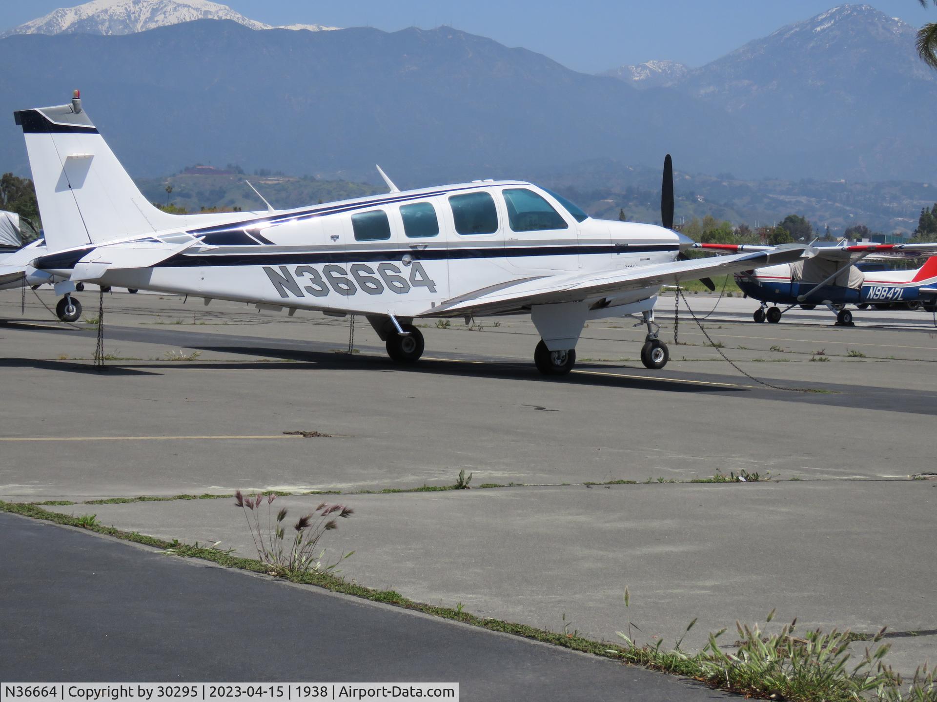 N36664, 1980 Beech A36TC Bonanza 36 C/N EA-89, Parked