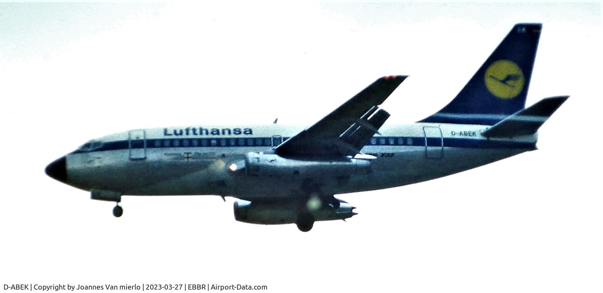 D-ABEK, 1968 Boeing 737-130 C/N 19021, Slide scan