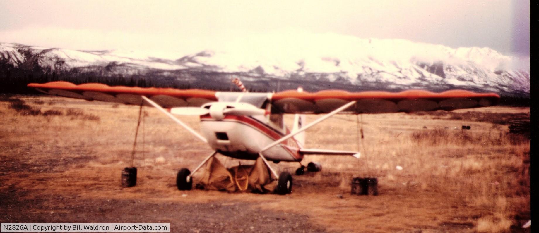 N2826A, 1953 Cessna 180 C/N 30026, Fly N2826A home to Anchorage,AK. after purchasing it in Denton, Tx. from I believe Joe Fendig ???? Picture is tied down waiting for WX.at at airstrip near Kluane Lake, Yukon Territory around 1973. Bill Waldron Owner/Pilot