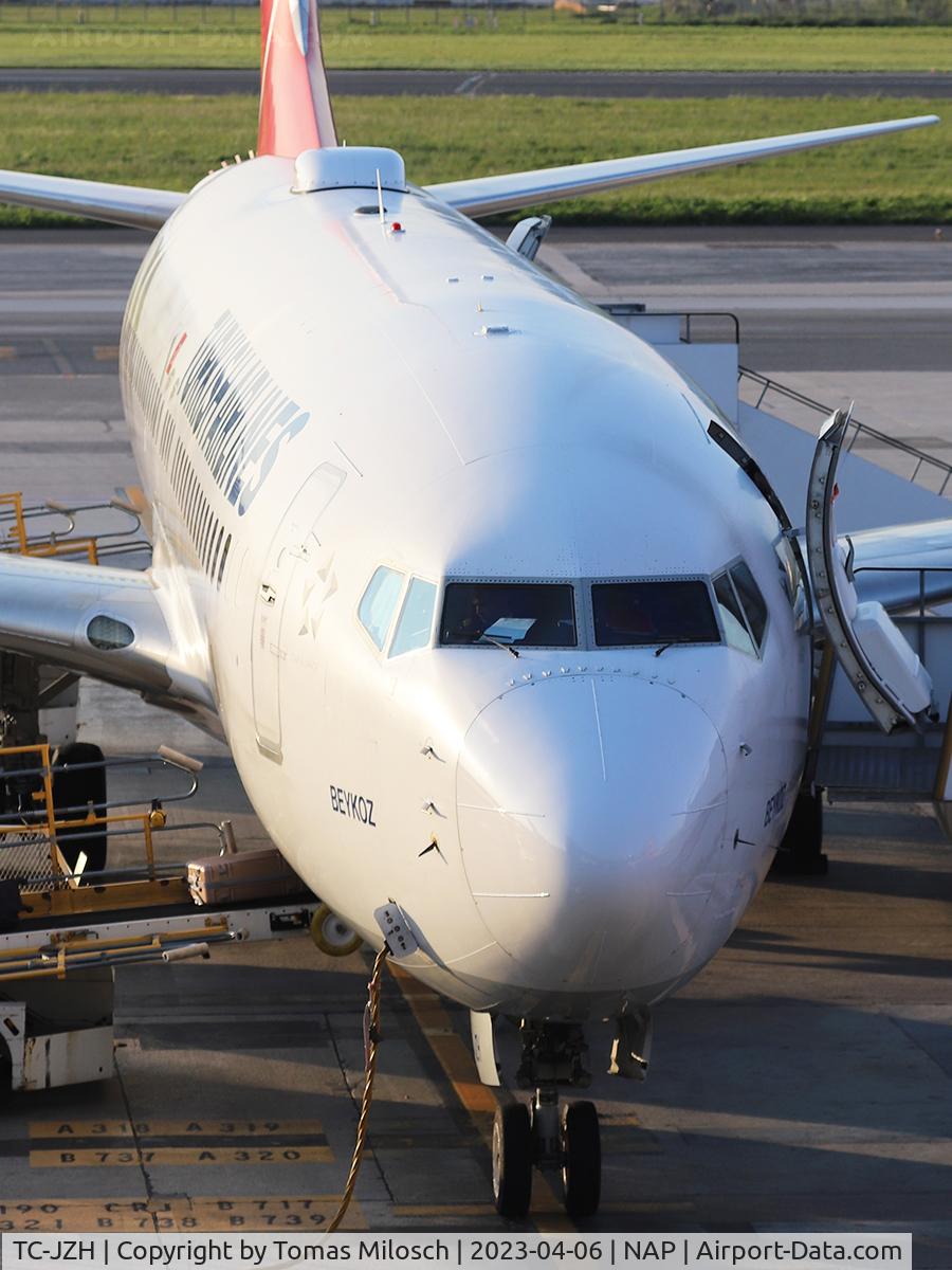 TC-JZH, 2016 Boeing 737-8F2 C/N 60029, 