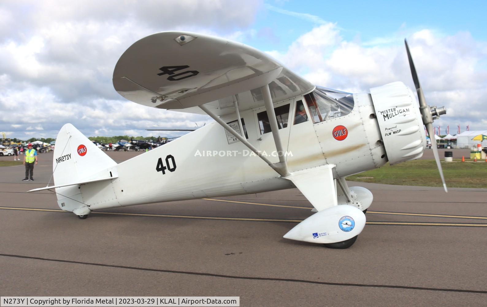 N273Y, 1985 Howard Aircraft DGA-6 Replica C/N JRY-02, DGA-6 zx