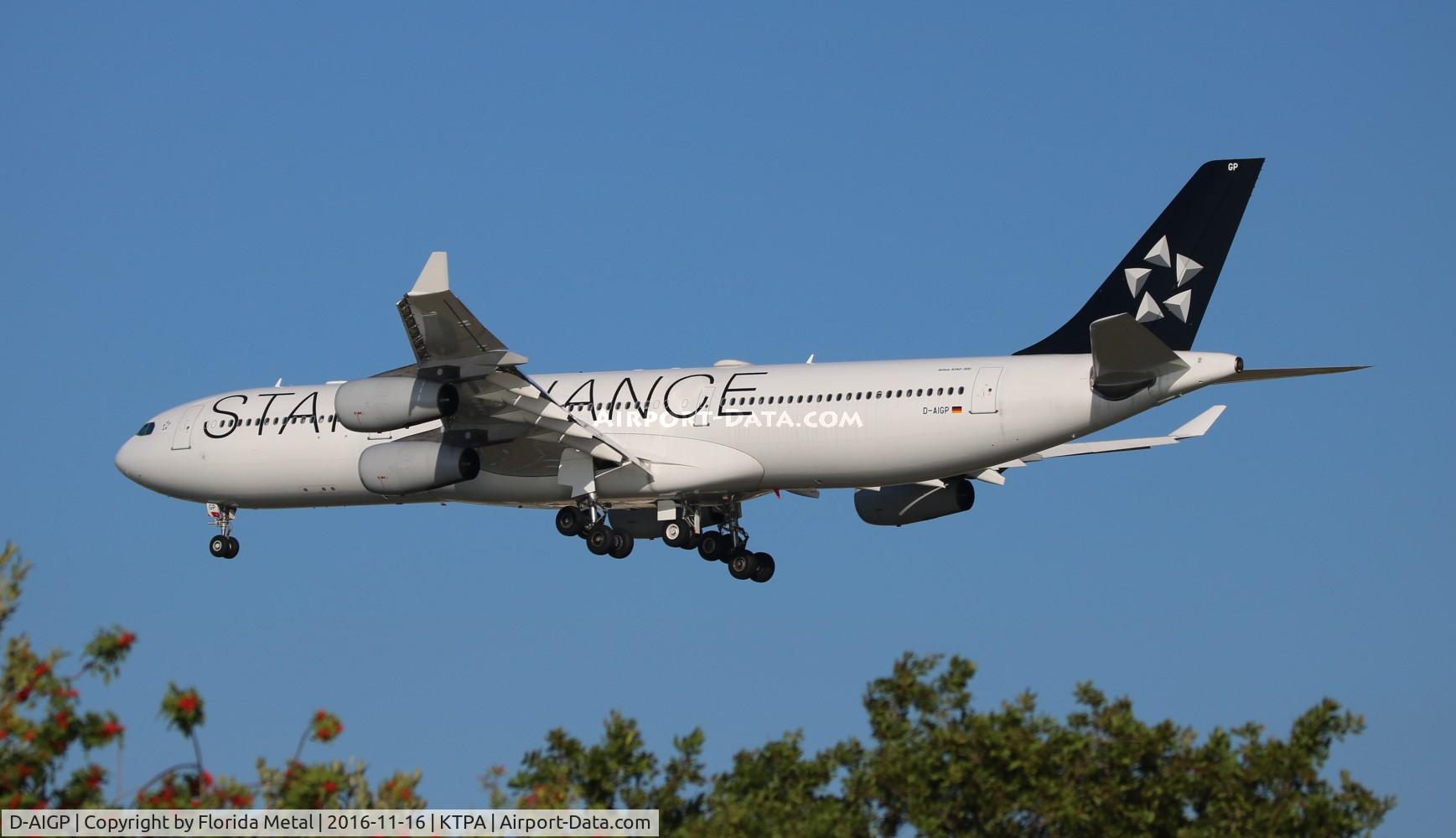 D-AIGP, 1998 Airbus A340-313X C/N 252, DLH A343 zx FRA-TPA