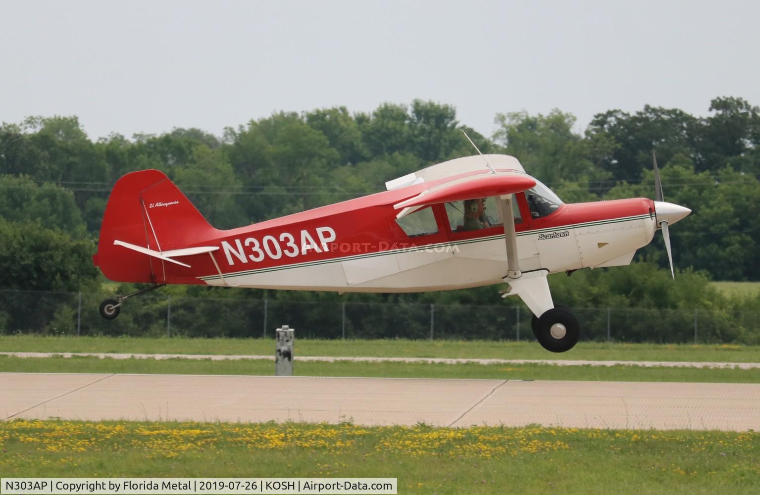 N303AP, 2003 Avipro Bearhawk C/N 02-01/02-444, Avipro Bearhawk zx