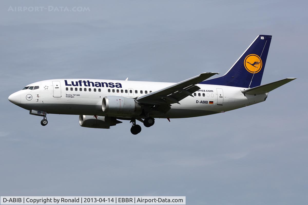 D-ABIB, 1990 Boeing 737-530 C/N 24816, at bru