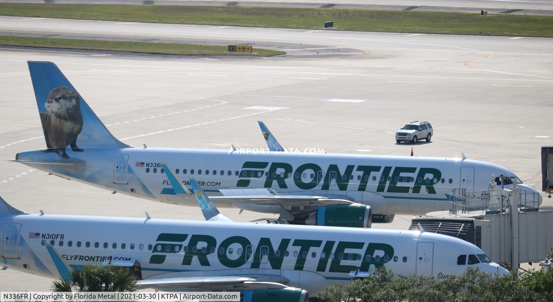 N336FR, 2018 Airbus A320-251NEO C/N 8357, FFT A32N Rosie zx TPA gate