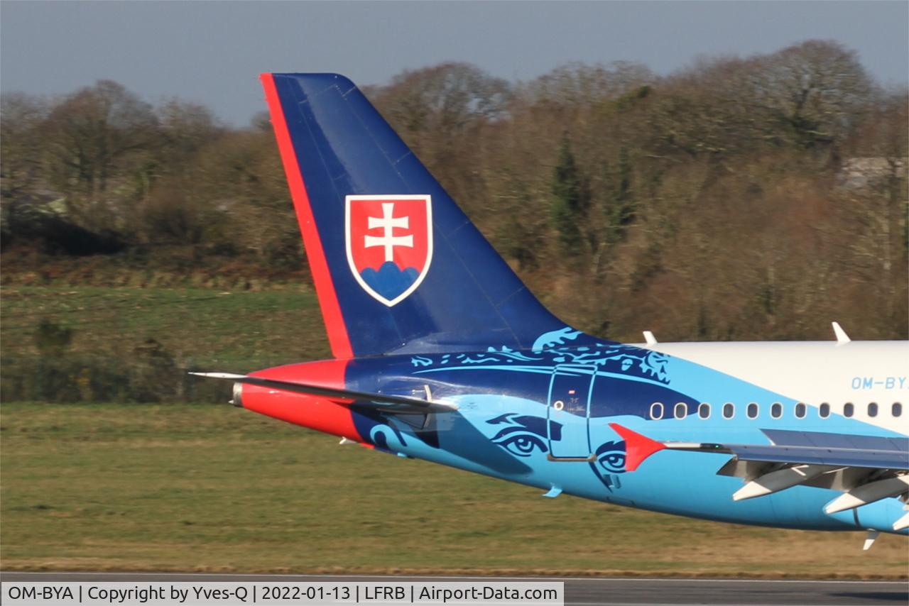 OM-BYA, 2005 Airbus A319-115 C/N 2550, Airbus A319-115, Tail close up view, Brest-Bretagne airport (LFRB-BES)
