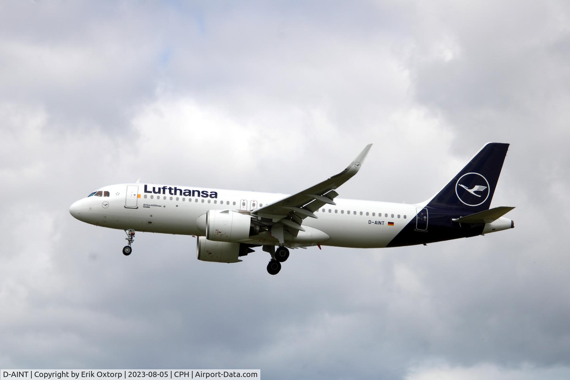 D-AINT, 2019 Airbus A320-271NEO C/N 8708, D-AINT landing rw 22L