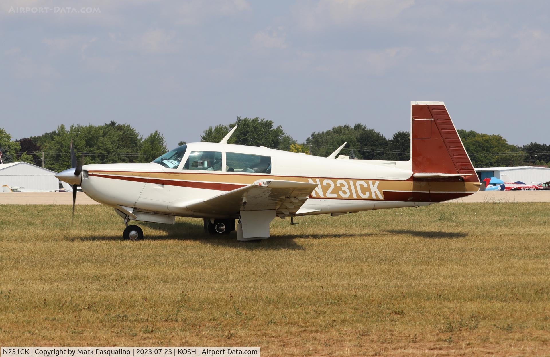 N231CK, 1979 Mooney M20K C/N 25-0143, Mooney M20K