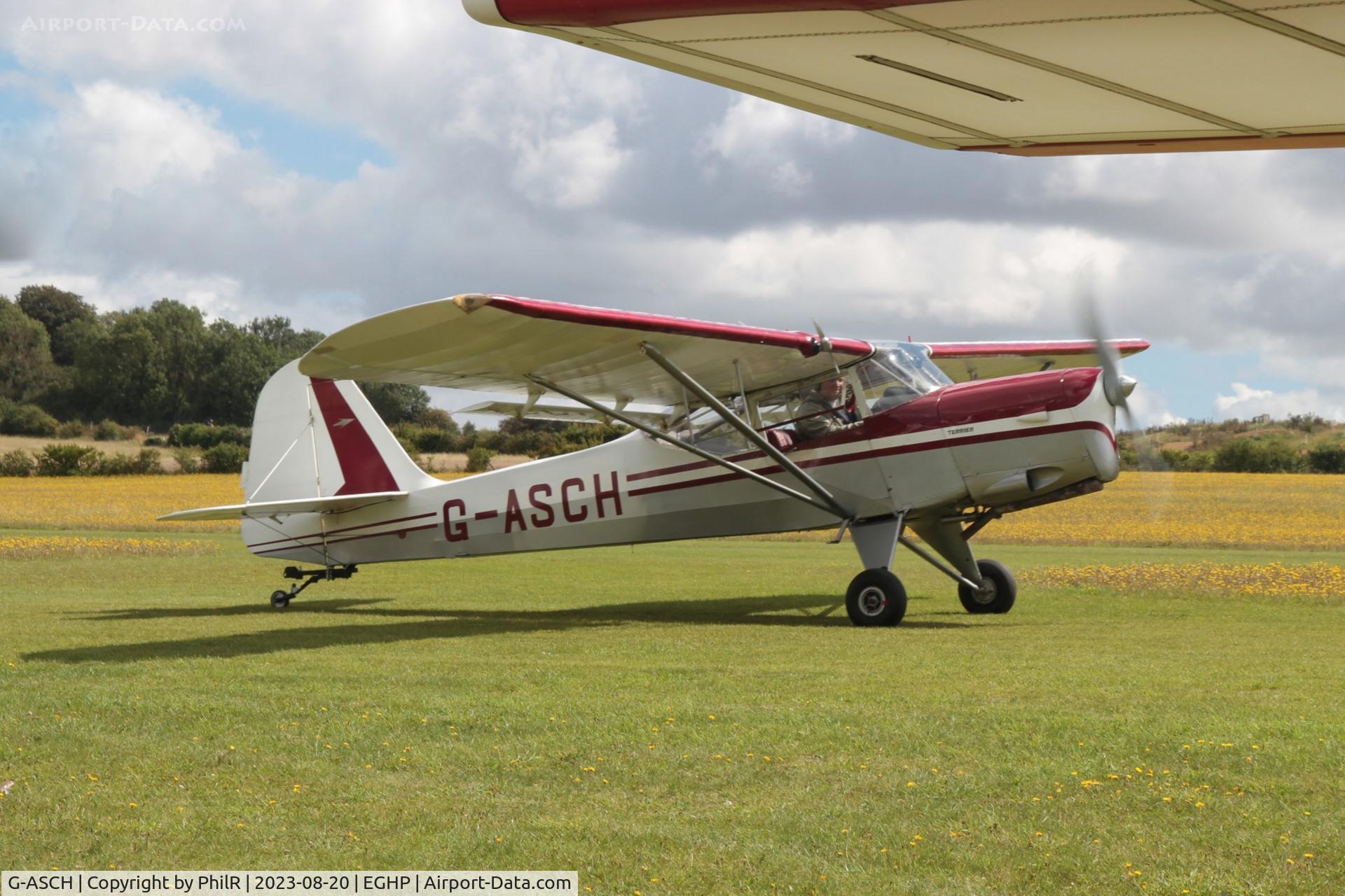 G-ASCH, 1962 Beagle A-61 Terrier 2 C/N B.619, G-ASCH 1962 Beagle A61 Series 2 Terrier LAA Fly In Popham