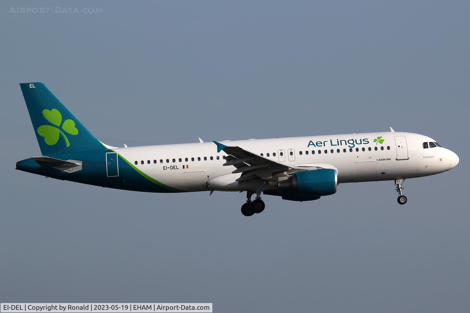 EI-DEL, 2005 Airbus A320-214 C/N 2409, at spl