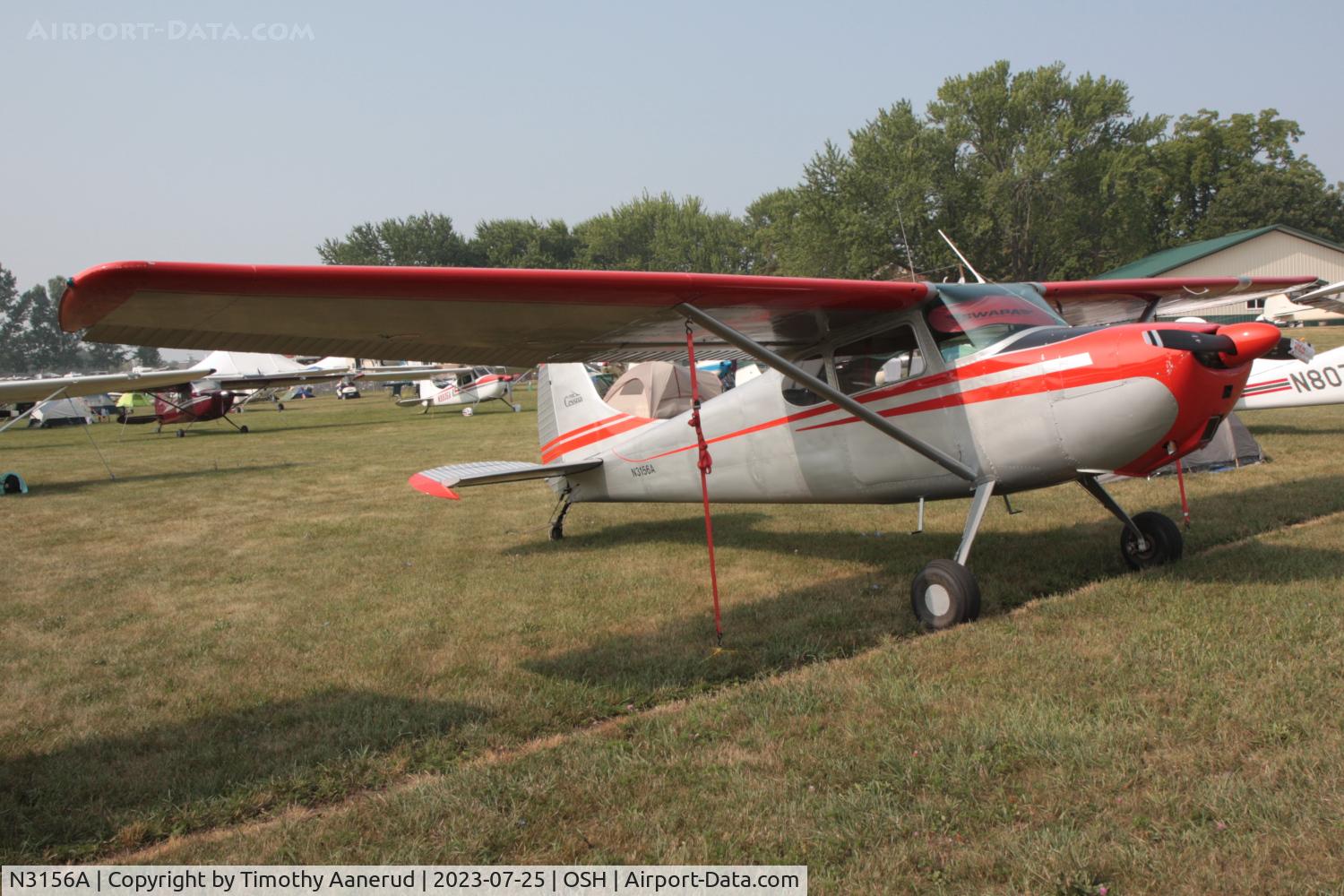 N3156A, 1953 Cessna 170B C/N 25800, 1953 Cessna 170B, c/n: 25800. AirVenture 2023