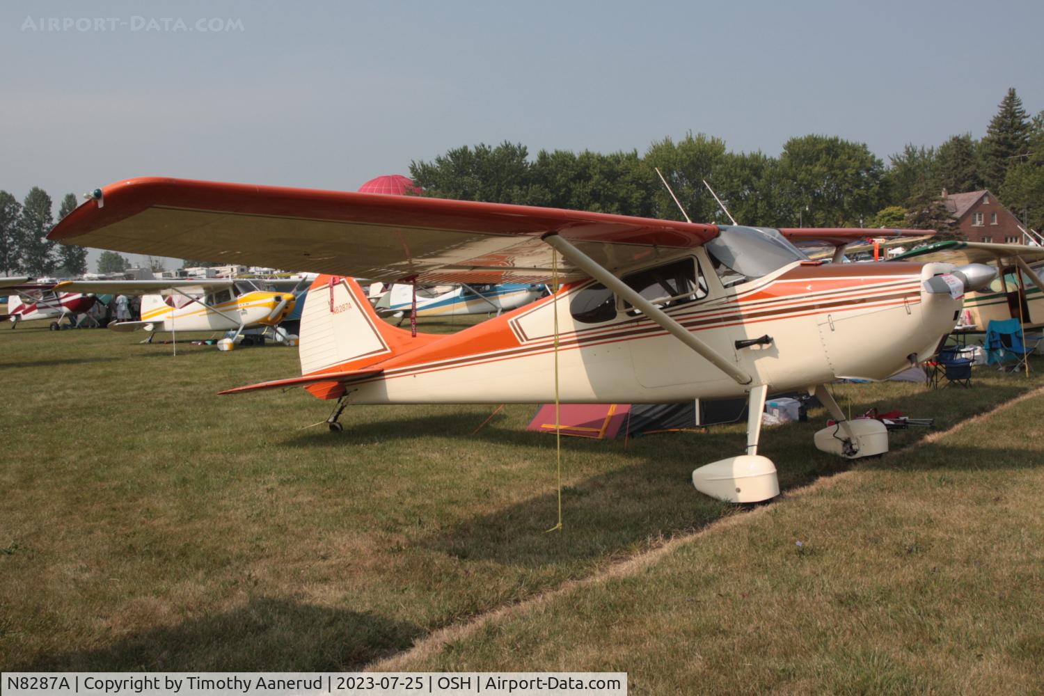 N8287A, 1952 Cessna 170B C/N 25139, 1952 Cessna 170B, c/n: 25139. AirVenture 2023