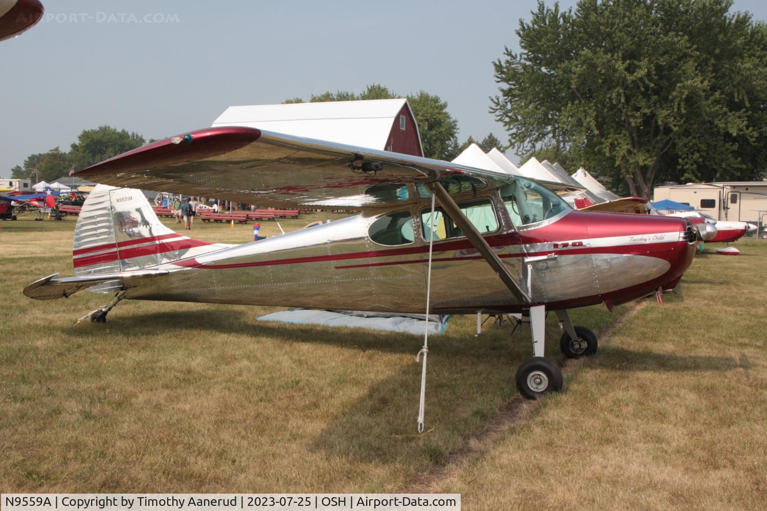 N9559A, 1949 Cessna 170A C/N 19120, 1949 Cessna 170A, c/n: 19120. AirVenture 2023