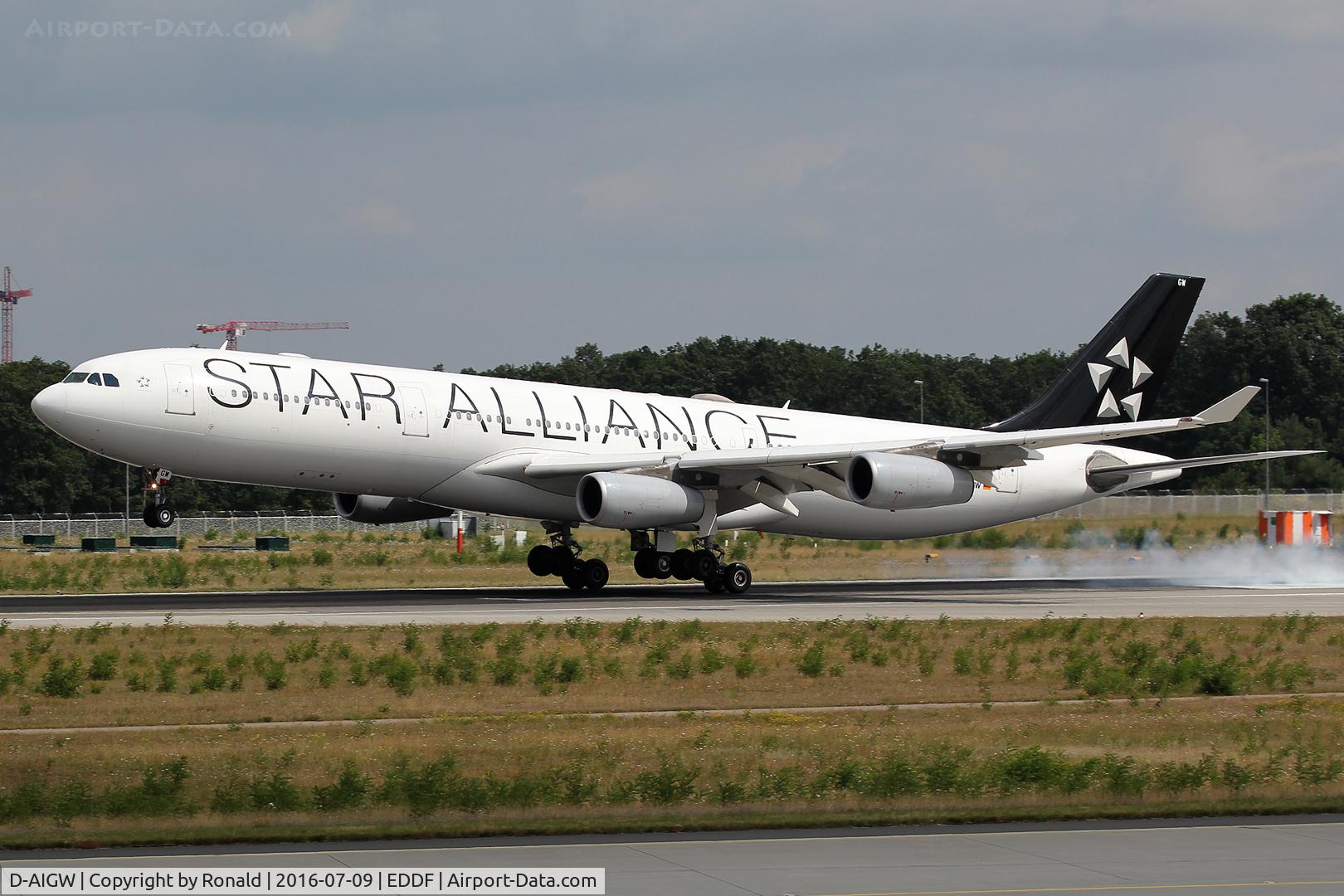 D-AIGW, 2000 Airbus A340-313X C/N 327, at fra