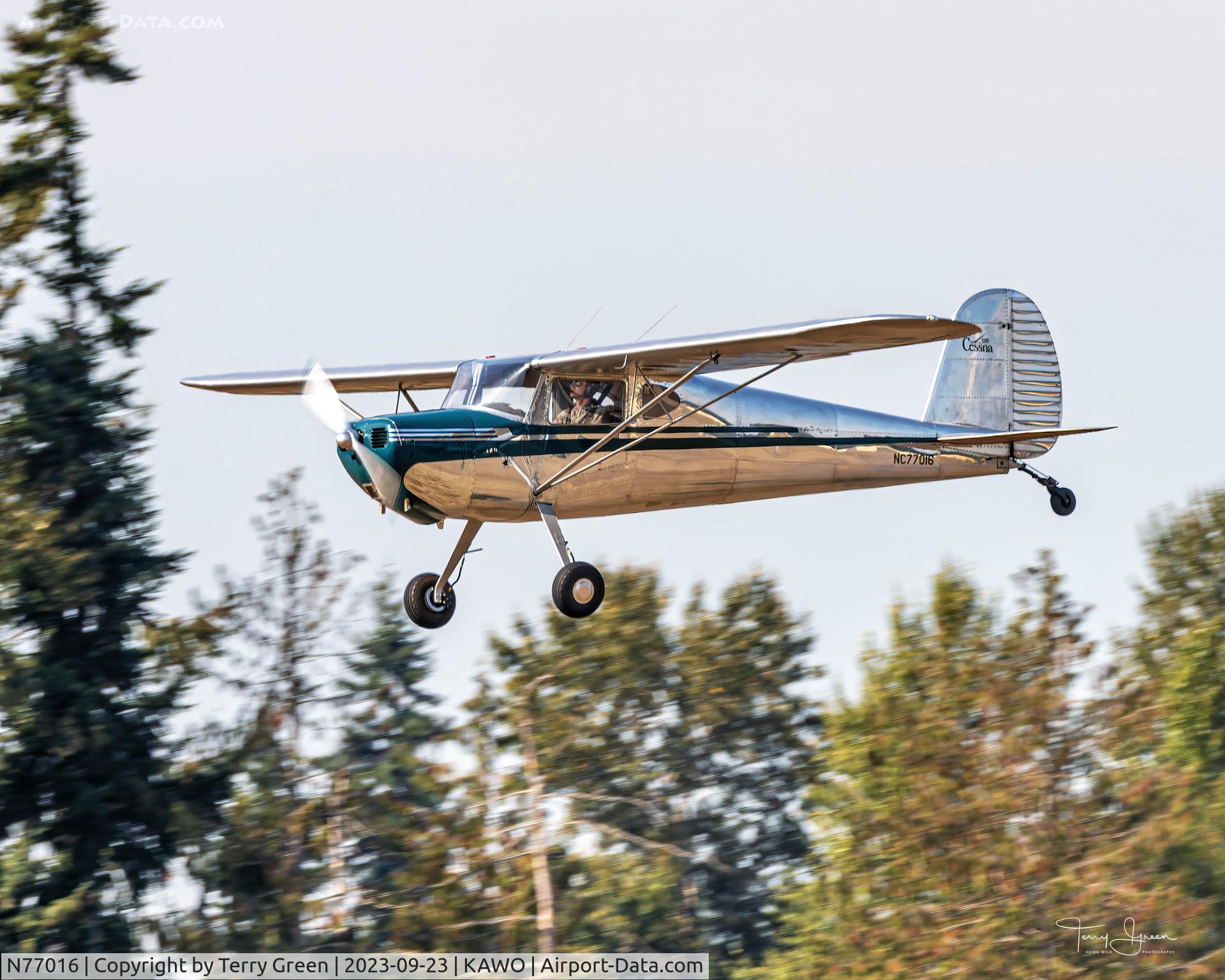 N77016, 1946 Cessna 120 C/N 11462, NC77016