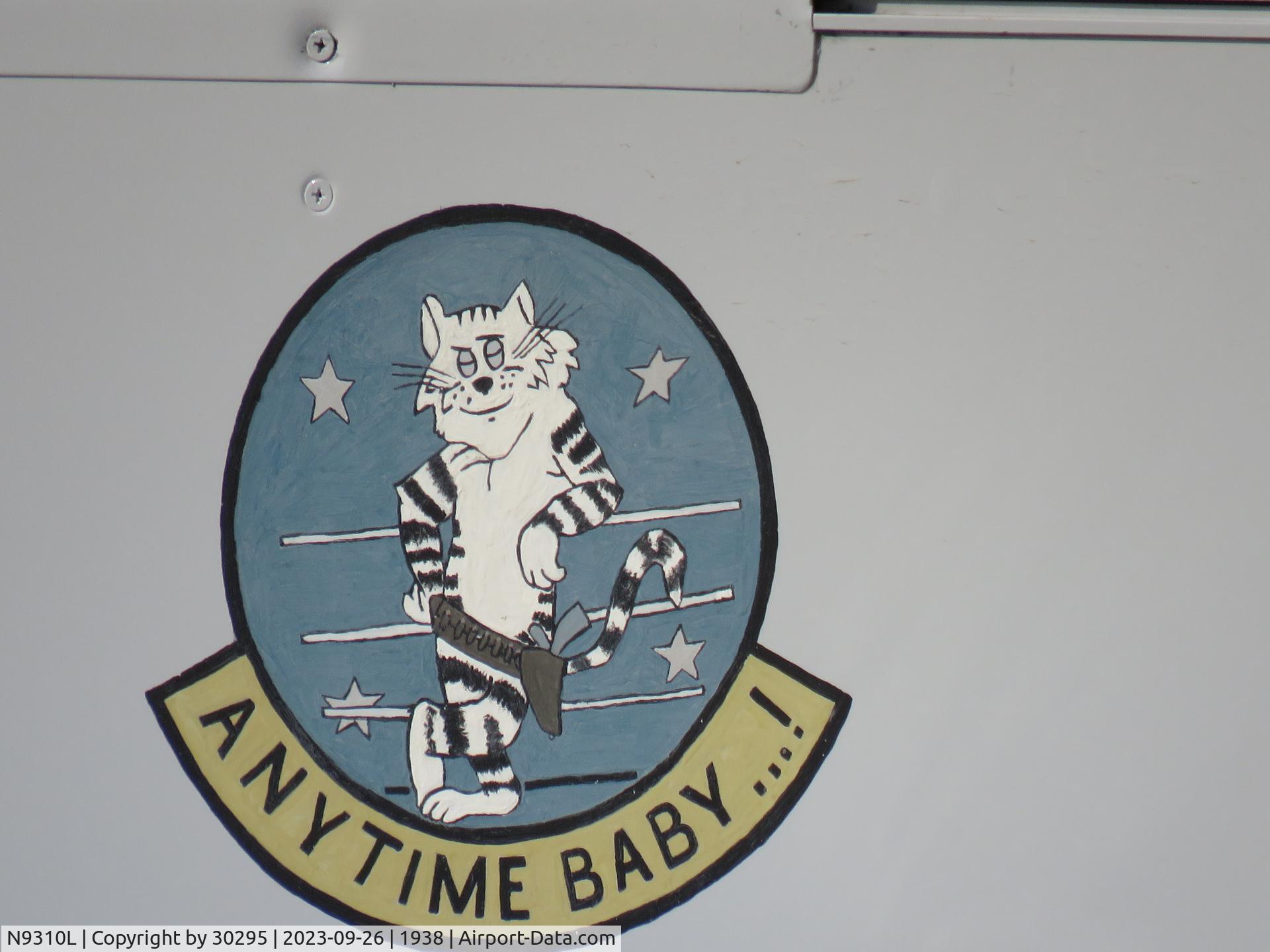 N9310L, 1971 American Aviation AA-1A Trainer C/N AA1A-0010, Nose art