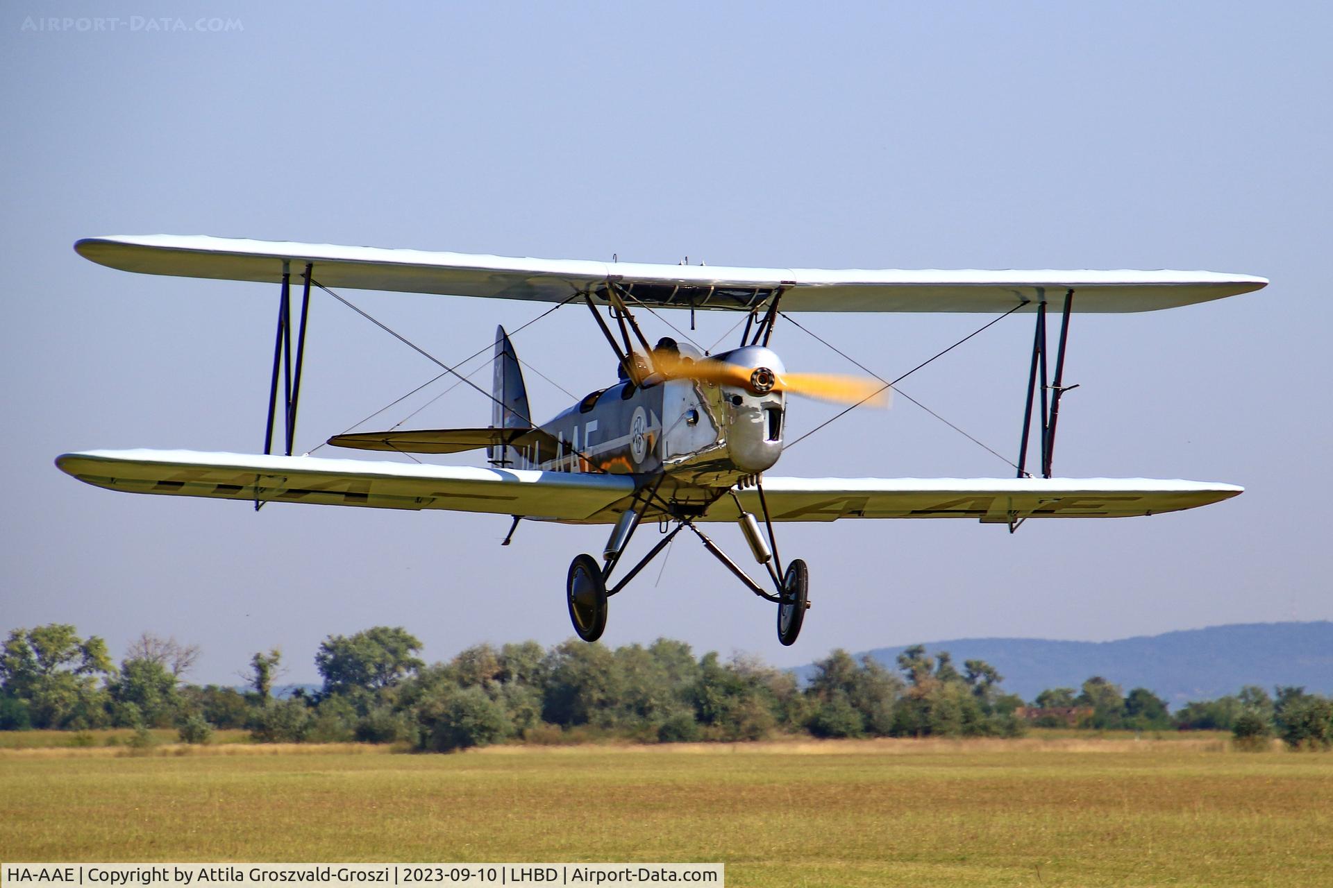 HA-AAE, 1988 Bánhidi Gerle 13 - Replica C/N F-04, LHBD - Börgönd Airport-Börgönd, Hungary - Börgönd Air Show 2023