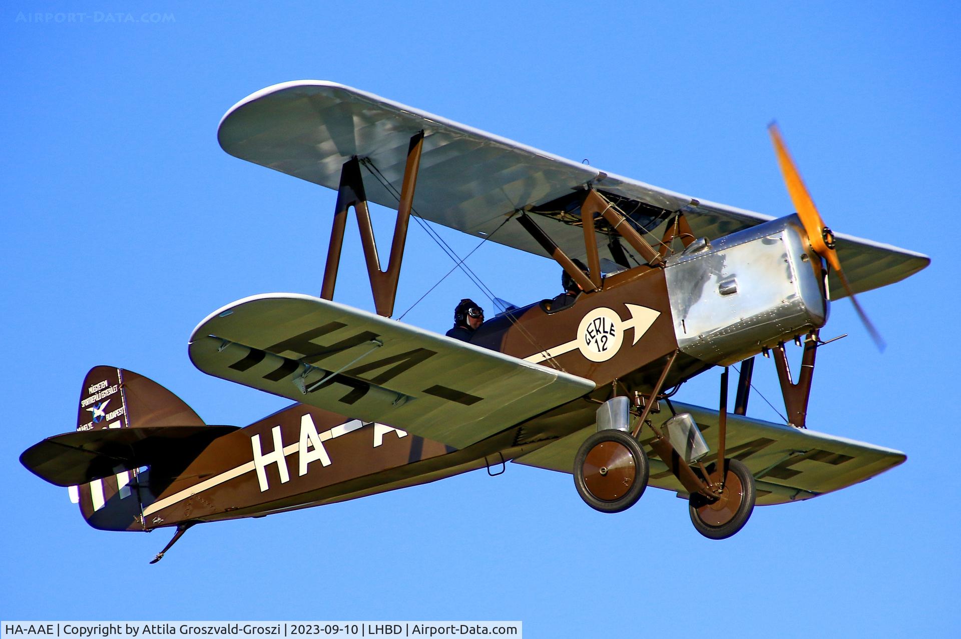 HA-AAE, 1988 Bánhidi Gerle 13 - Replica C/N F-04, LHBD - Börgönd Airport-Börgönd, Hungary - Börgönd Air Show 2023