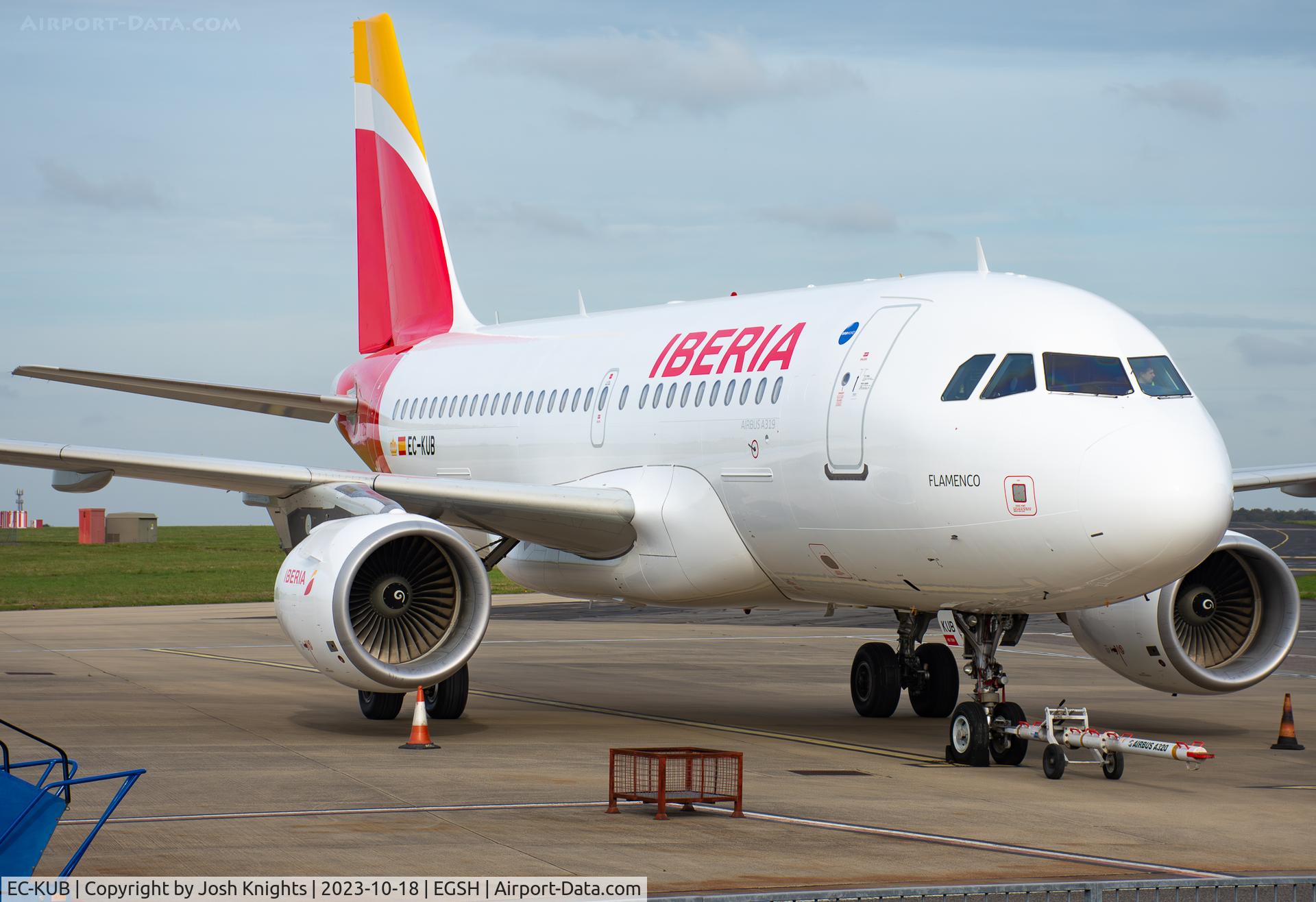 EC-KUB, 2008 Airbus A319-111 C/N 3651, On Stand After Respray.
