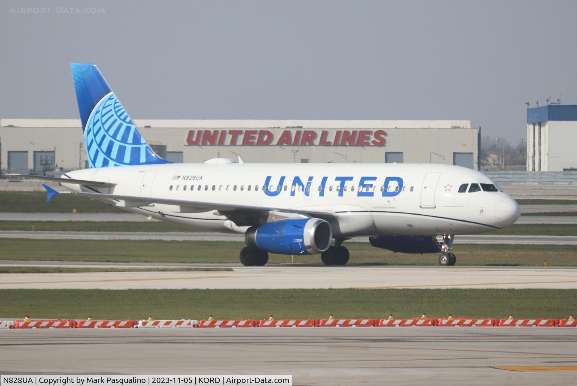 N828UA, 1999 Airbus A319-131 C/N 1031, Airbus A319-131