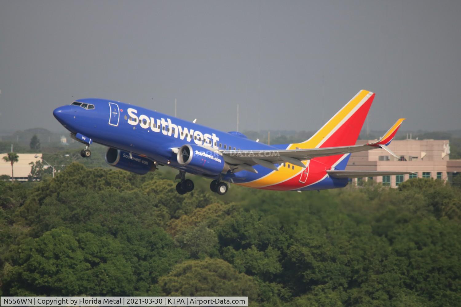 N556WN, 2011 Boeing 737-7BD C/N 33936, SWA 737 nc zx