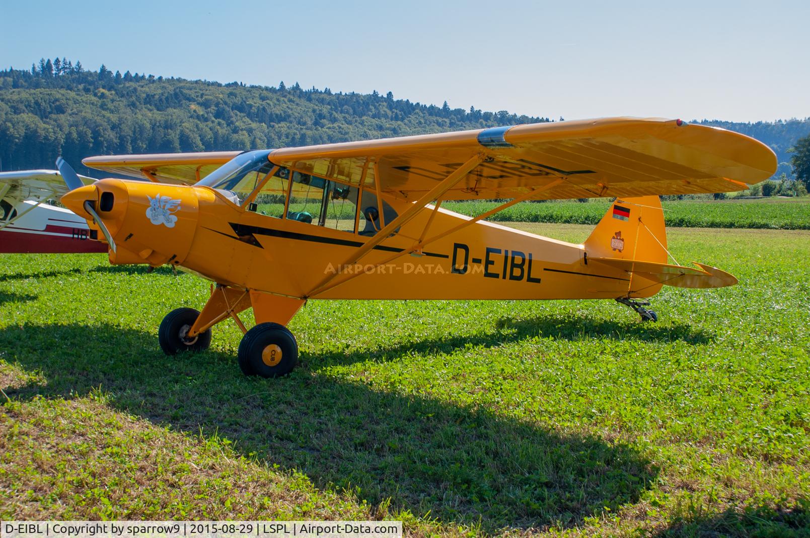 D-EIBL, 1980 Piper PA-18-150 Super Cub C/N 18-8009024, Piper meet Bleienbach