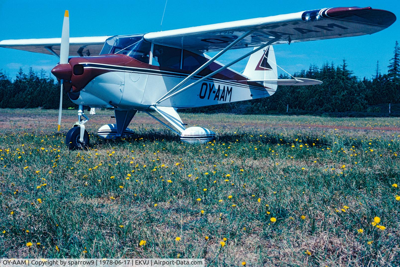 OY-AAM, 1951 Piper PA-22-125 C/N 22-113, Destroyed in a fire in Norway 2012. KZ-Rally Stauning. Scanned from a slide.