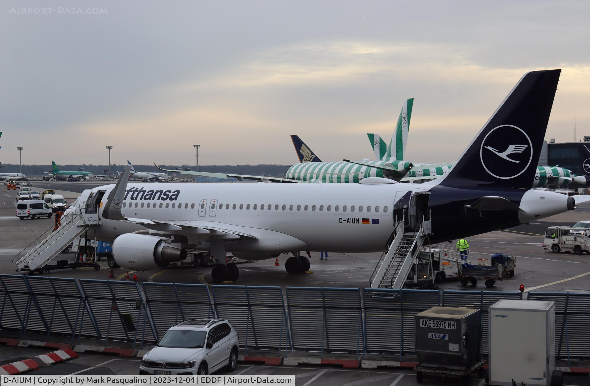 D-AIUM, 2015 Airbus A320-214 C/N 6577, Airbus A320-214