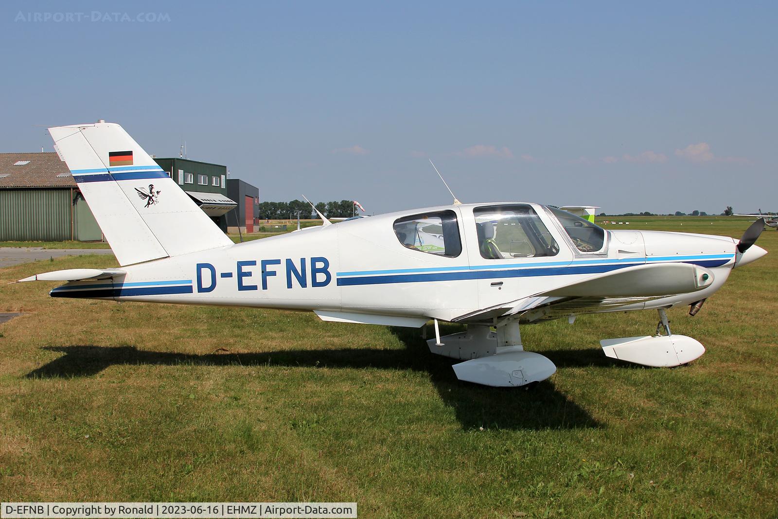 D-EFNB, Socata TB-10 Tobago C/N 820, at ehmz
