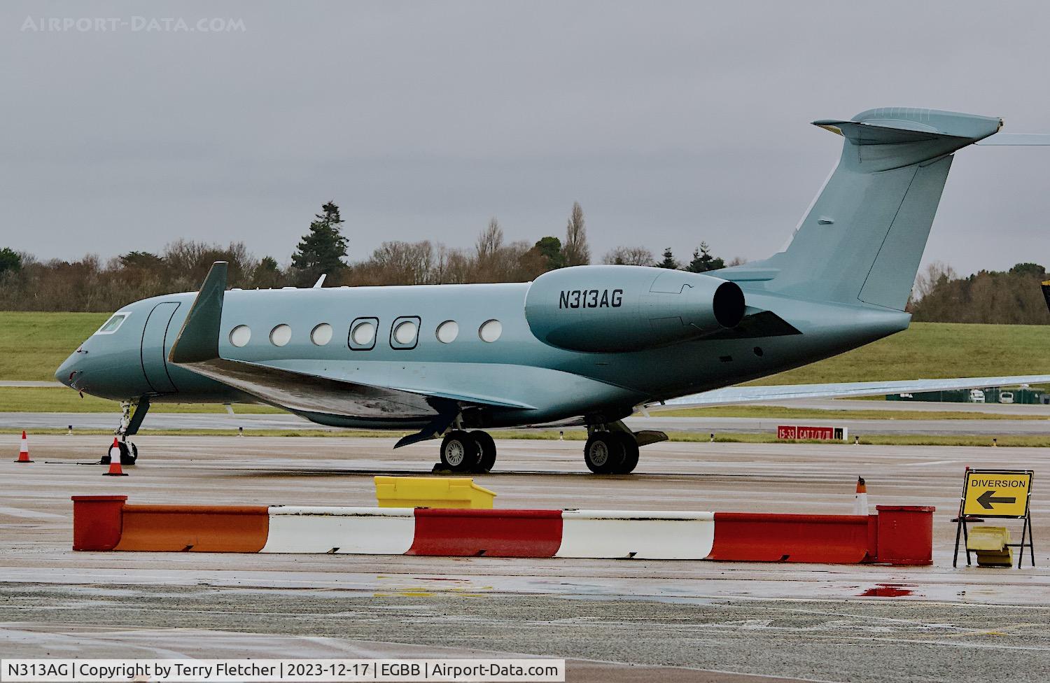 N313AG, 2019 Gulfstream Aerospace G650 (G-VI) C/N 6375, At Birmingham