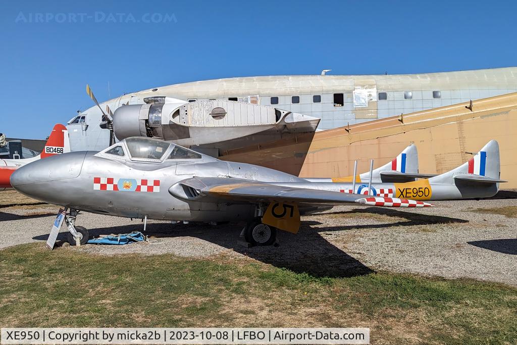 XE950, De Havilland DH-115 Vampire T.11 C/N 15463, Preserved