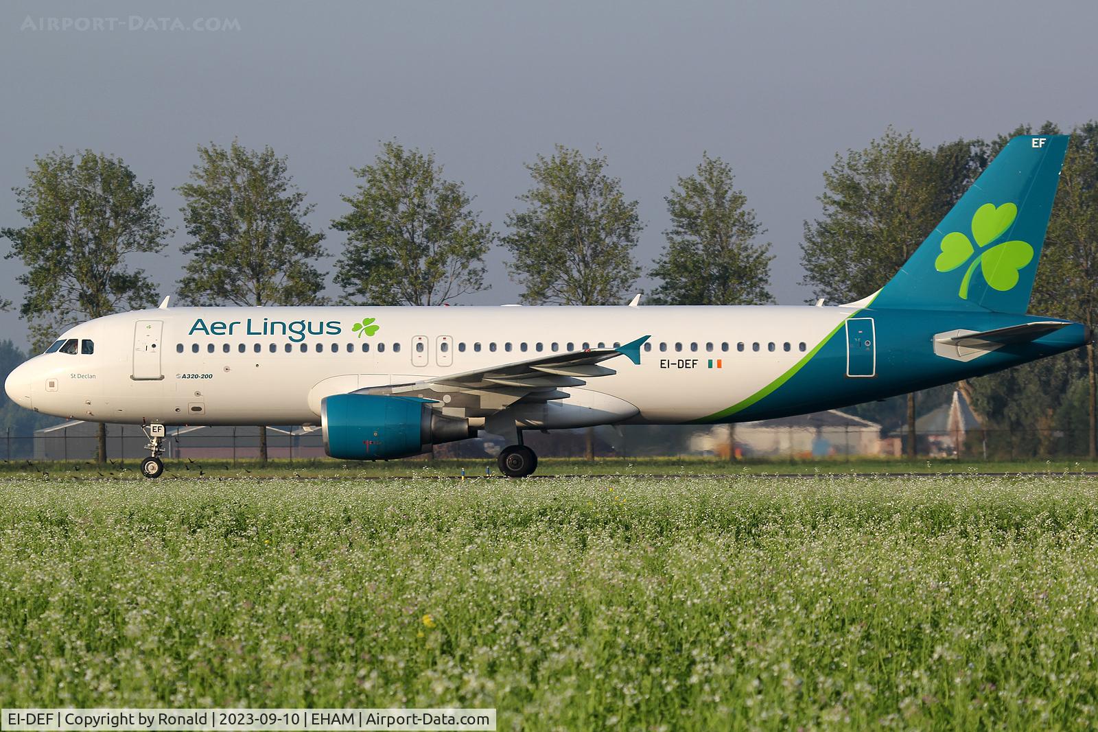 EI-DEF, 2004 Airbus A320-214 C/N 2256, at spl