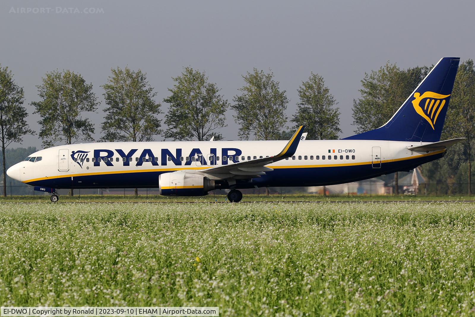EI-DWO, 2007 Boeing 737-8AS C/N 36079, at spl