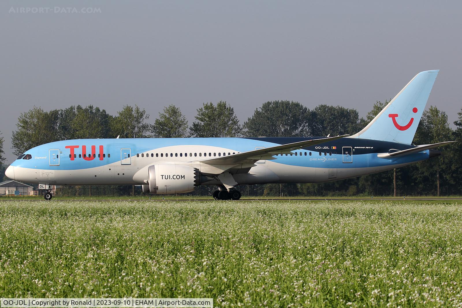 OO-JDL, 2013 Boeing 787-8 Dreamliner C/N 34425, at spl