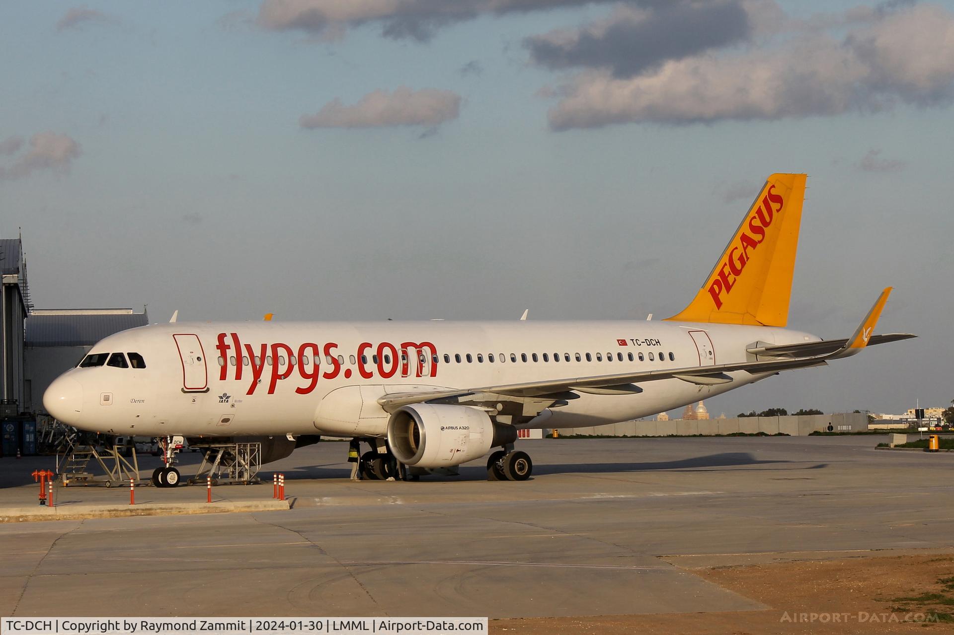 TC-DCH, 2015 Airbus A320-216 C/N 6619, A320 TC-DCH Pegasus Airlines