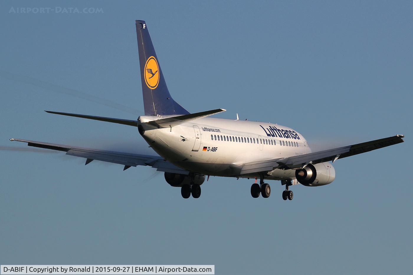 D-ABIF, 1991 Boeing 737-530 C/N 24820, at spl