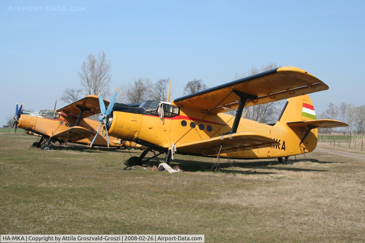 HA-MKA, 1980 PZL-Mielec Antonov An-2R Colt C/N 1G186-29, Domaszék, agricultural site, Hungary