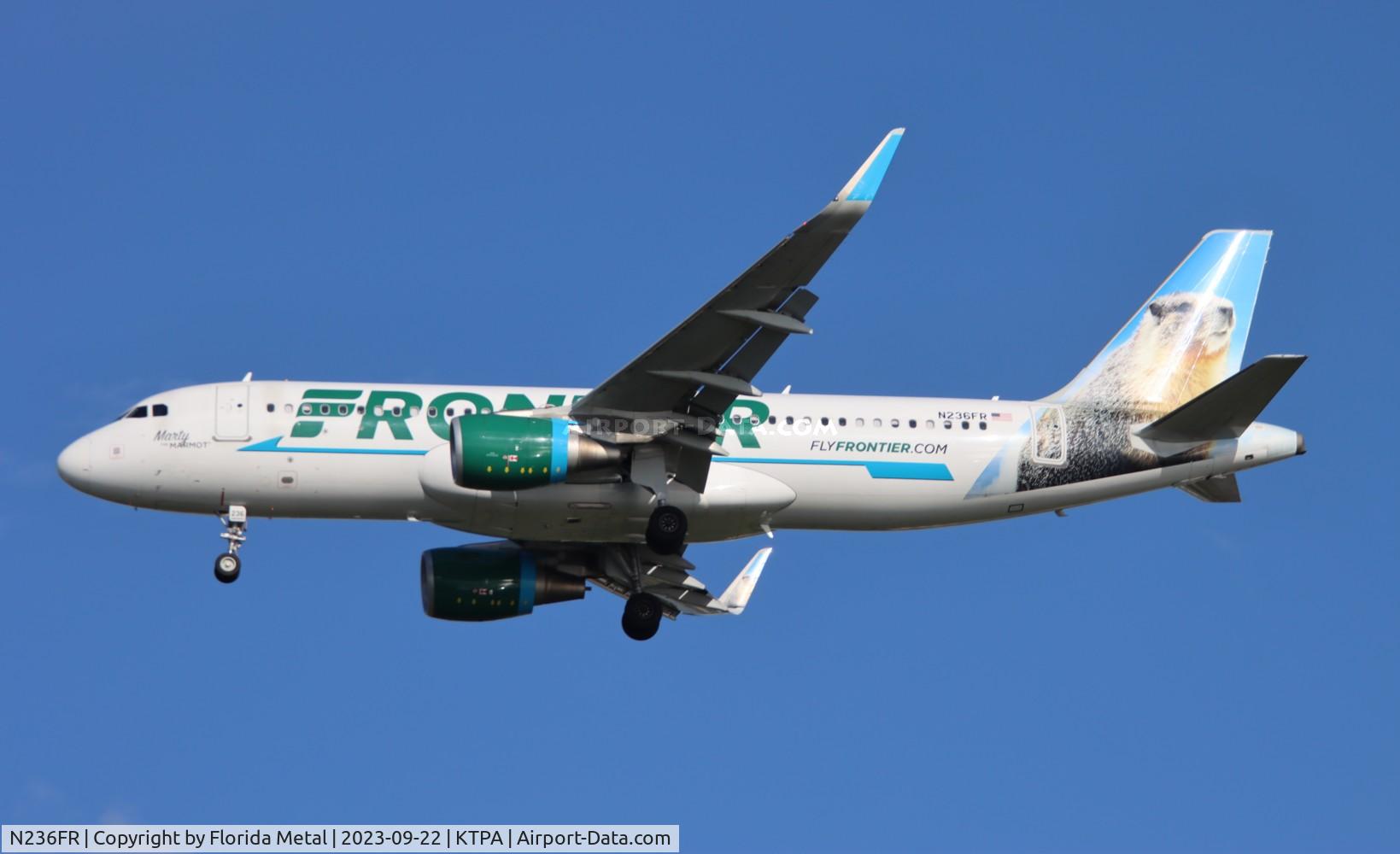 N236FR, 2016 Airbus A320-214 C/N 7389, FFT A320 Marty zx CLE-TPA