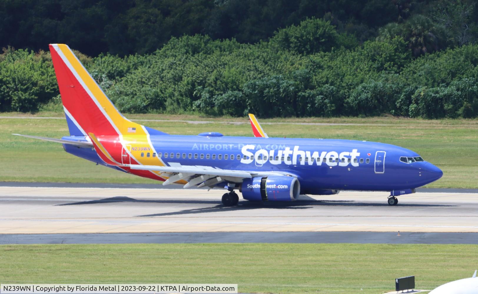 N239WN, 2006 Boeing 737-7H4 C/N 34714, SWA 737 nc zx BWI-TPA