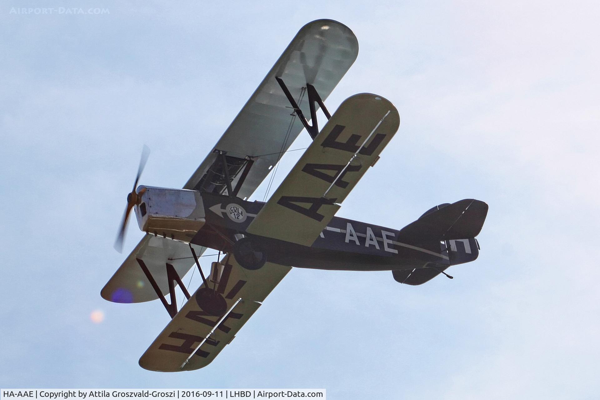 HA-AAE, 1988 Bánhidi Gerle 13 - Replica C/N F-04, LHBD - Börgönd Airport. Albatros-Börgönd Air Show 2016, Hungary