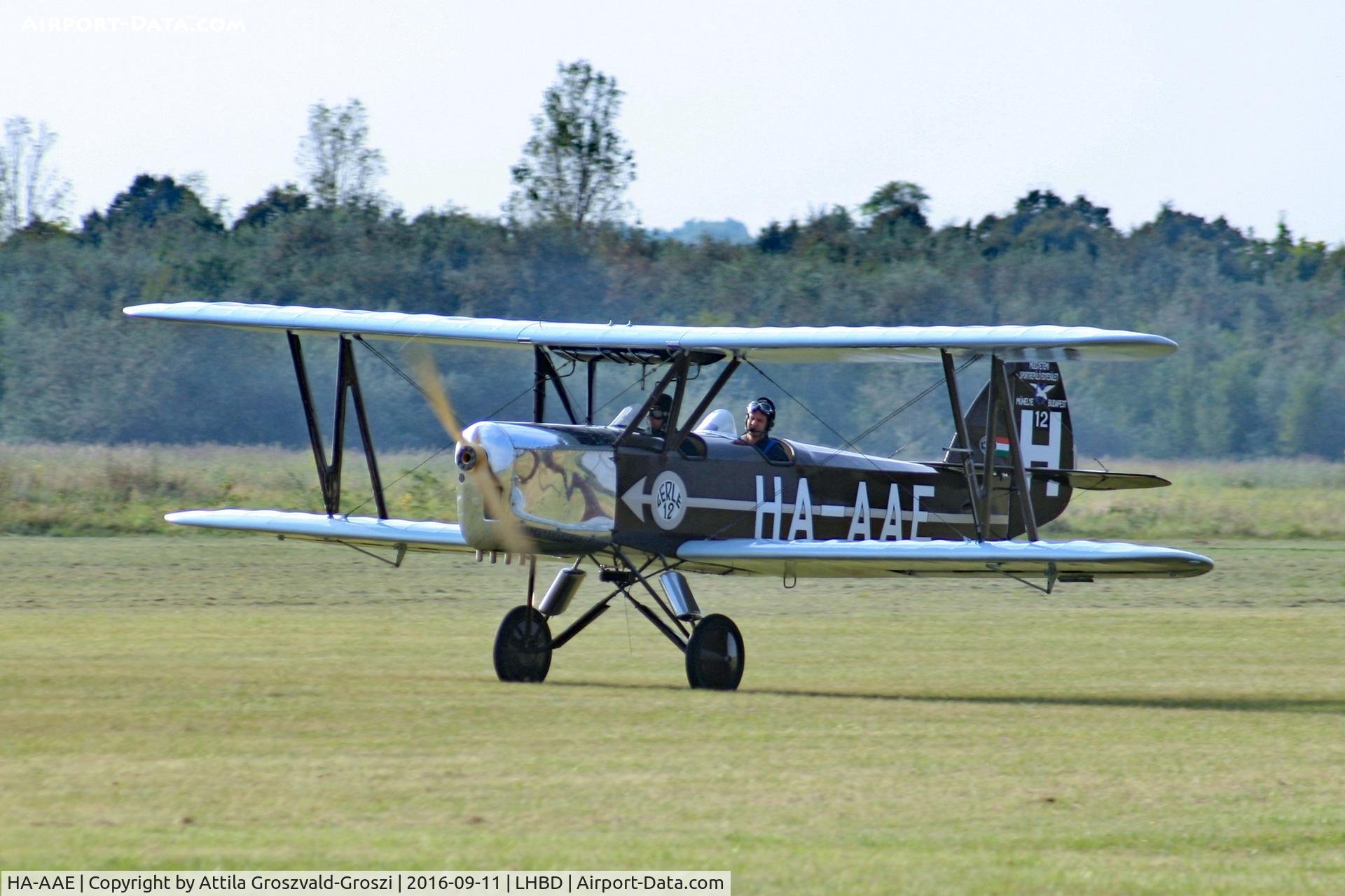 HA-AAE, 1988 Bánhidi Gerle 13 - Replica C/N F-04, LHBD - Börgönd Airport. Albatros-Börgönd Air Show 2016, Hungary