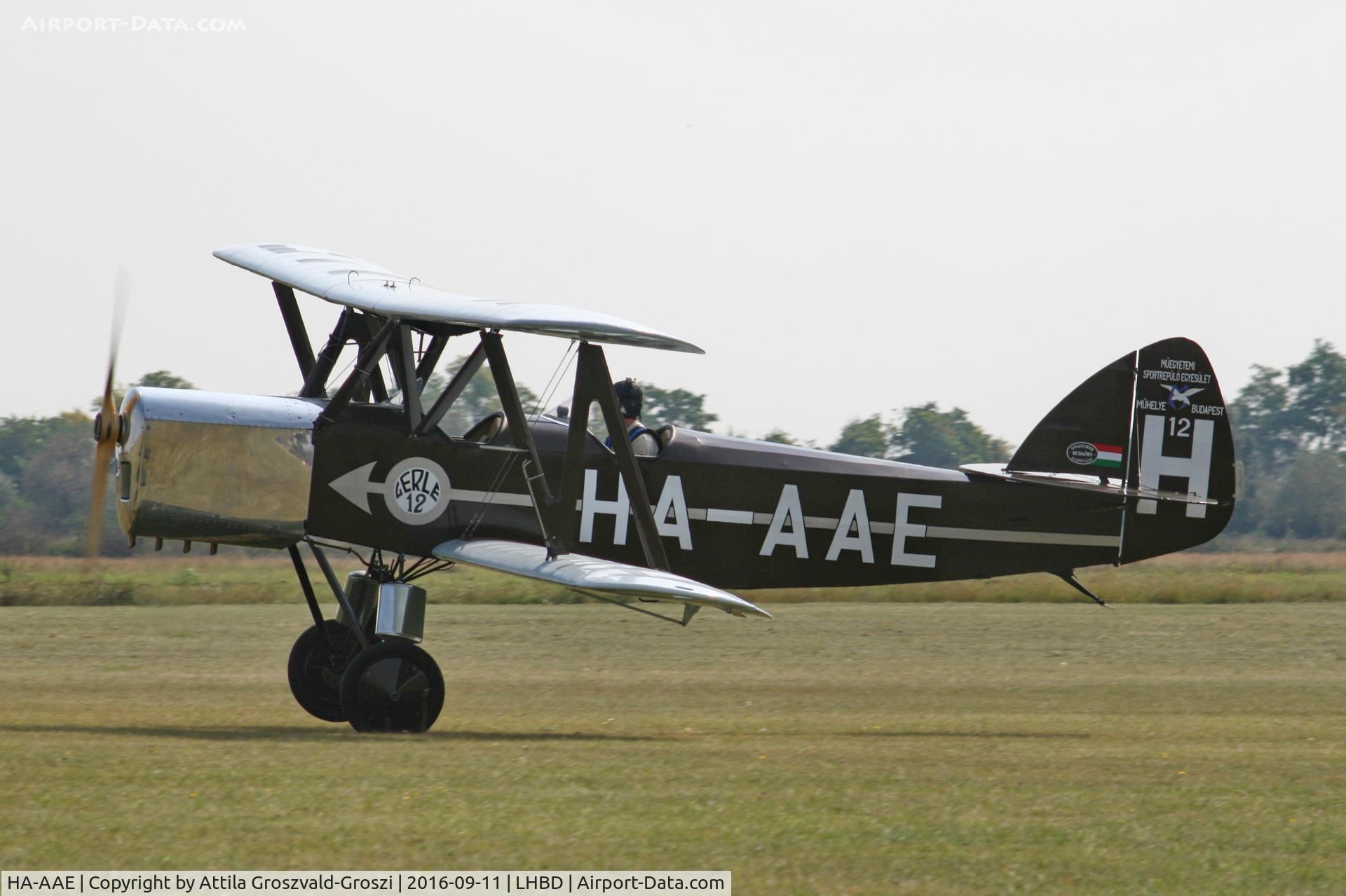 HA-AAE, 1988 Bánhidi Gerle 13 - Replica C/N F-04, LHBD - Börgönd Airport. Albatros-Börgönd Air Show 2016, Hungary