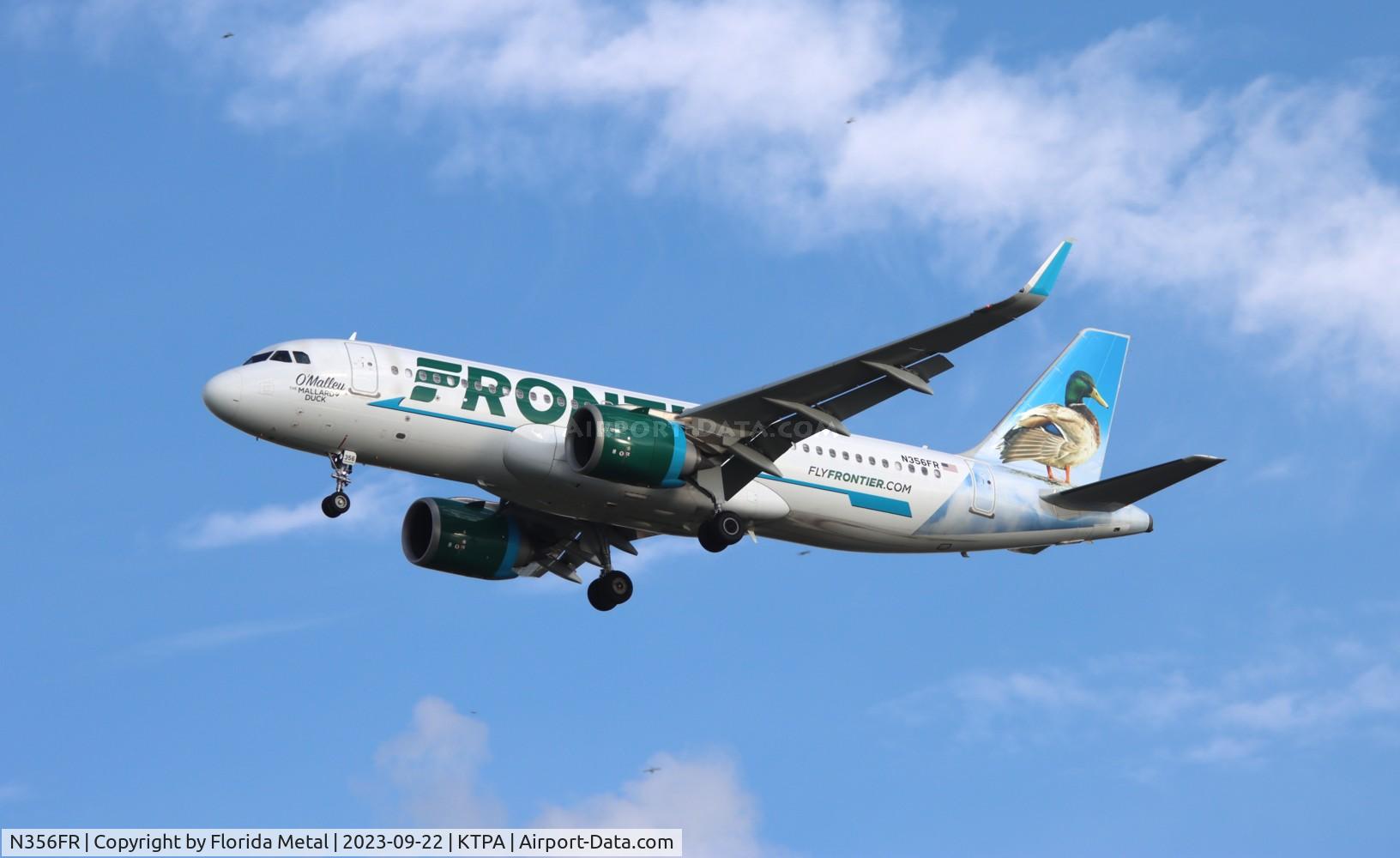 N356FR, 2019 Airbus A320-251NEO C/N 9065, FFT A32N O'Malley zx ATL-TPA