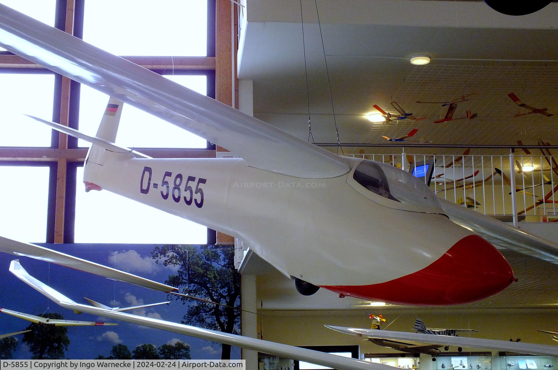 D-5855, 1961 Scheibe Zugvogel IIIA C/N 1055, Scheibe Zugvogel III A at the Deutsches Segelflugmuseum mit Modellflug (German Soaring Museum with Model Flight), Gersfeld Wasserkuppe