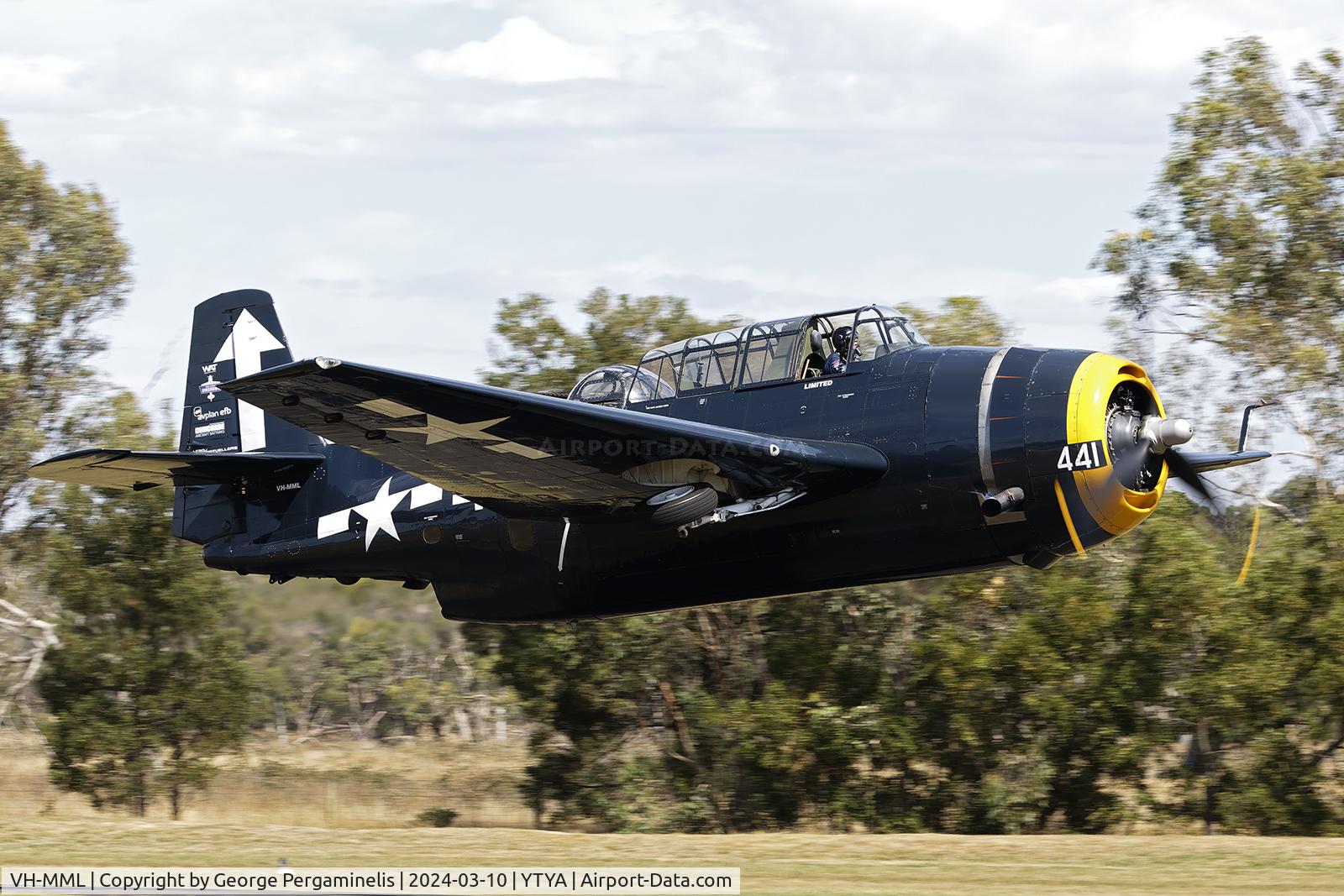 VH-MML, 1957 Grumman TBM-3E Avenger C/N 3919, Participating in the Tyabb 2024 airshow.