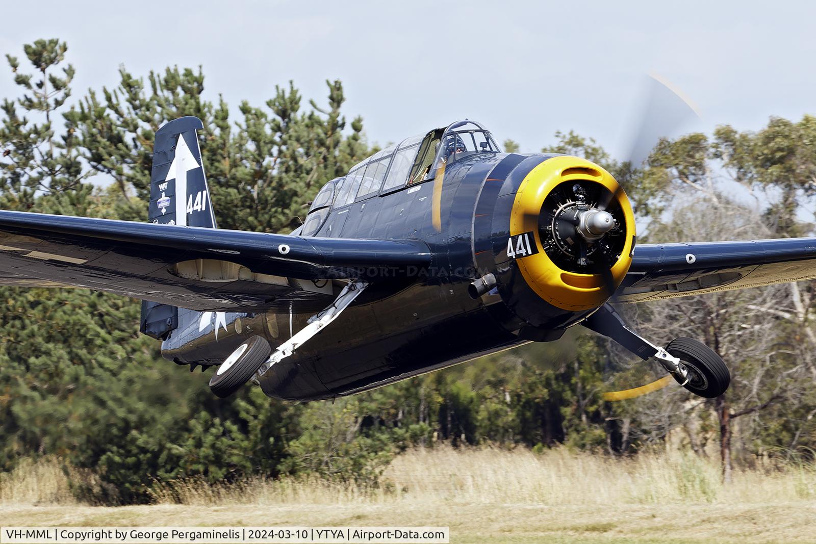 VH-MML, 1957 Grumman TBM-3E Avenger C/N 3919, Participating in the Tyabb 2024 airshow.