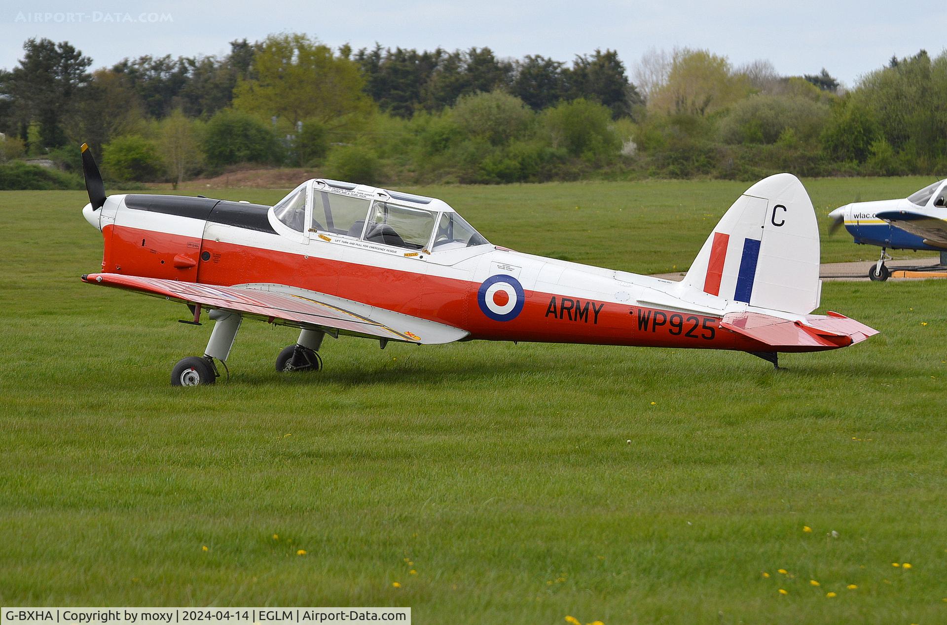 G-BXHA, 1952 De Havilland DHC-1 Chipmunk T.10 C/N C1/0801, De Havilland DHC-1 Chipmunk T.10 at White Waltham.