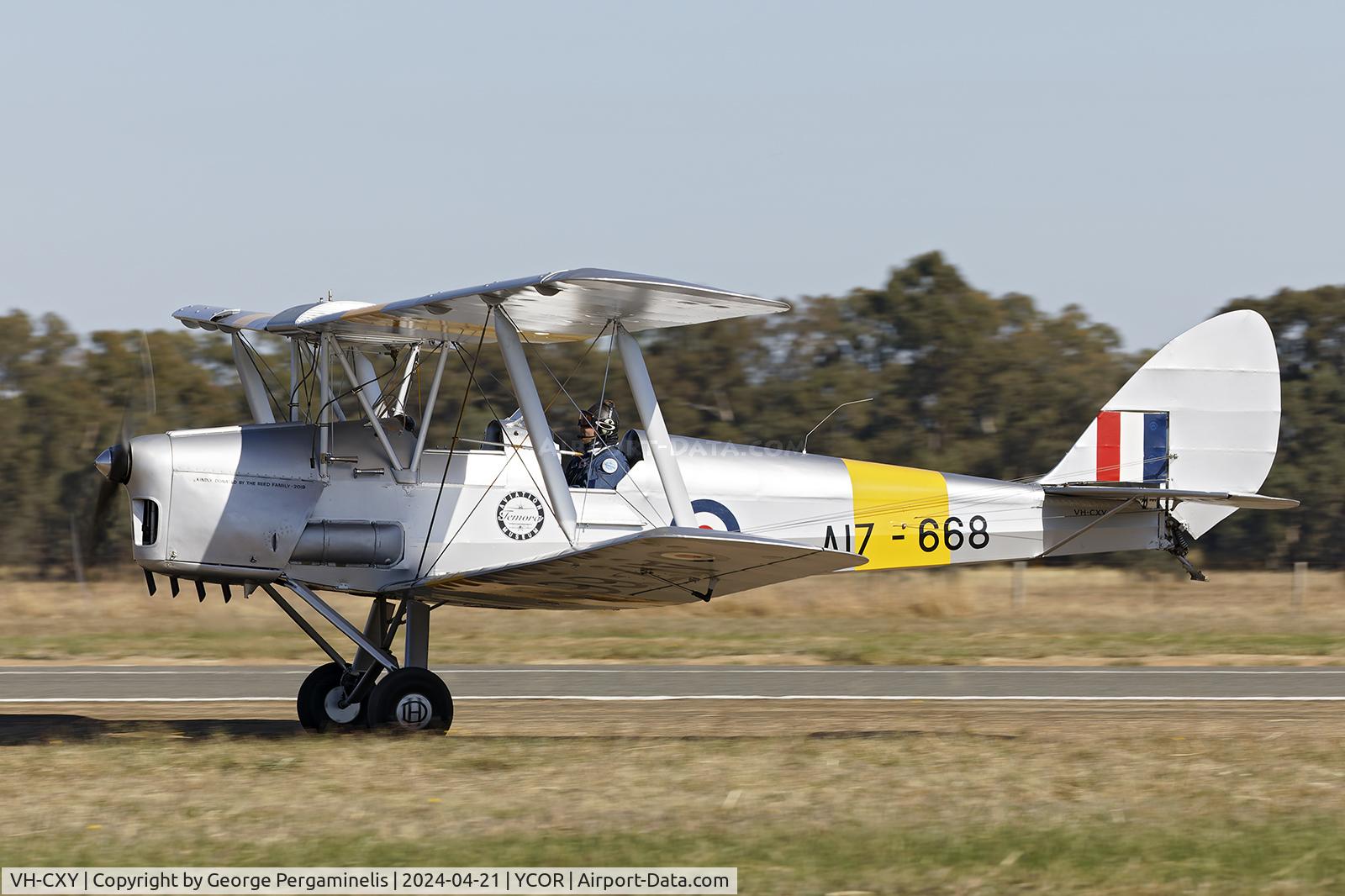 VH-CXY, 1961 De Havilland DH-82A Replica Tiger Moth II C/N LES 10, Antique Aeroplane Association of Australia National Fly-in 2024.