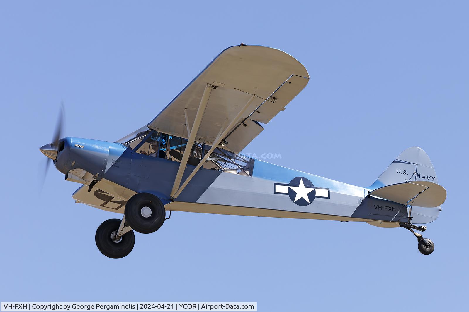 VH-FXH, 1952 Piper PA-18-125/A1 Super Cub C/N 18-1291, Antique Aeroplane Association of Australia National Fly-in 2024.