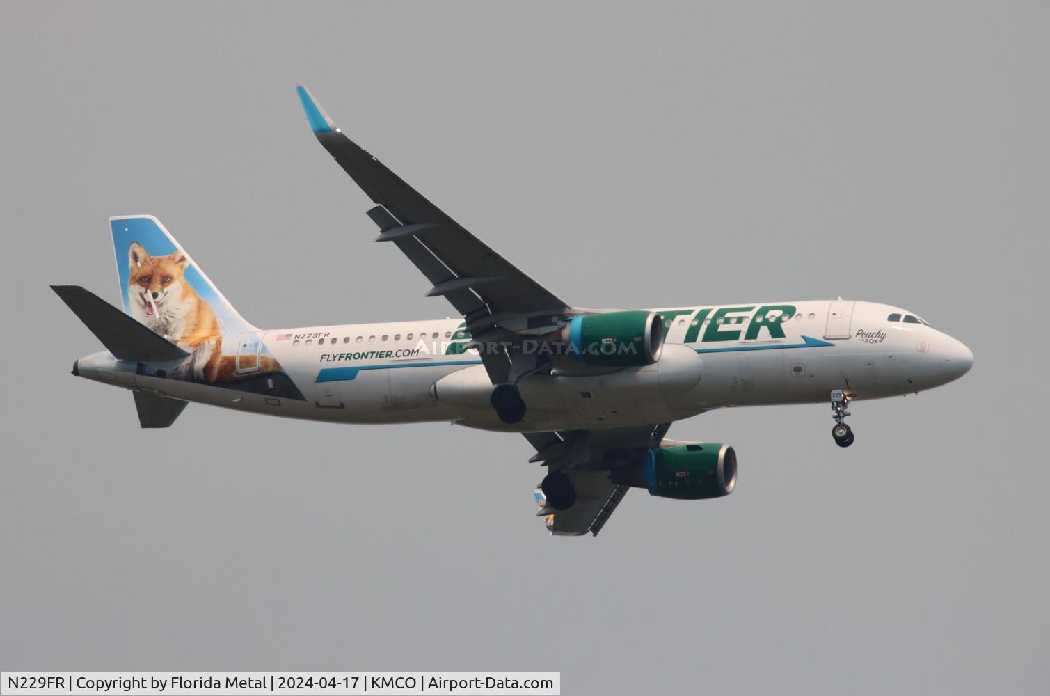 N229FR, 2013 Airbus A320-214 C/N 5581, FFT A320 Peachy zx ATL-MCO